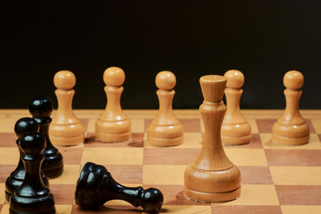 Black and White King and Knight of chess setup on dark backgroundの写真素材