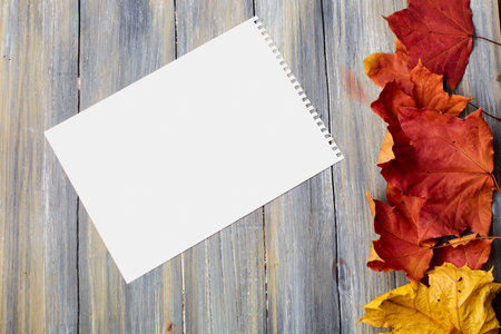 autumn leaves on a wooden background with a sheet of paper removed from the top yellow and redの写真素材