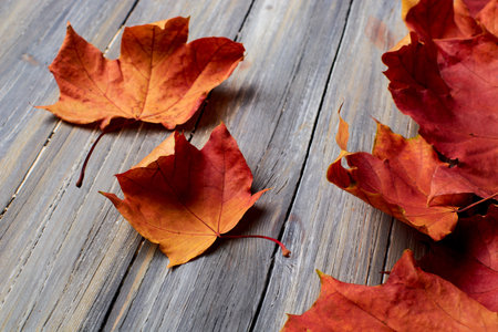 autumn leaves on a wooden background removed from the top yellow and red
