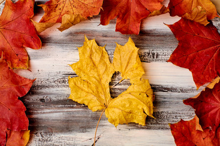 Colorful vertical frame of fallen autumn leaves chestnuts