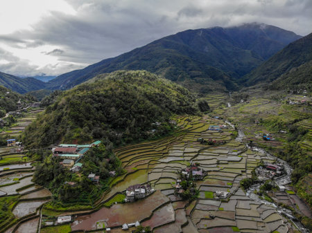 Rice terraces in Banaue Philippinesの写真素材