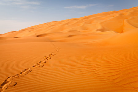 Human footsteps in sand dunes in the desert in Abu Dhabi, UAEの写真素材