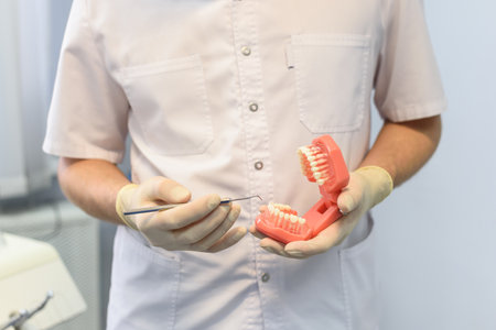 Dentist hand with jaw, dentures and forceps on background. Hand in protecting gloves taking human jaw layout from table, where it lies with layout, bone forceps, dentures and dental crowns.の写真素材