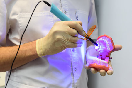 Gloved dentist's hand holding dental gypsum model.の写真素材
