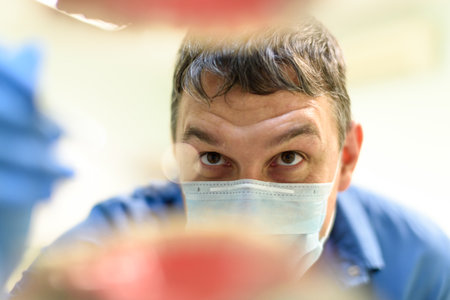 Dentist showing a model of teethの写真素材