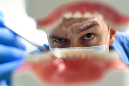 Dentist showing a model of teethの写真素材