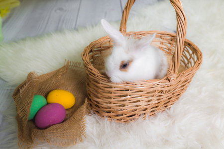 Easter bunny and Easter eggs