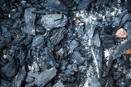 pieces of Black wood charcoal texture background.の写真素材