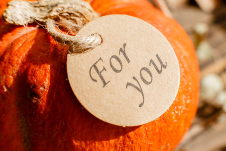 For you gift tag on pumpkins over a rustic wood background.の写真素材