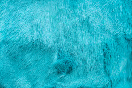 blue rabbit fur Texture, animal skin backgroundの写真素材