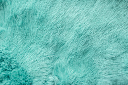 turquoise dyed rabbit fur Texture, animal skin background.の写真素材
