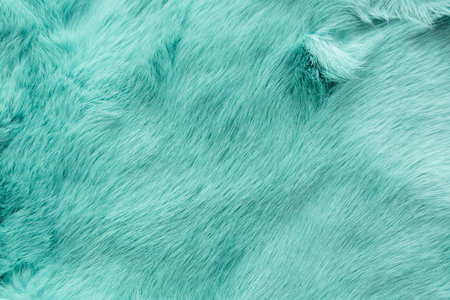 turquoise dyed rabbit fur Texture, animal skin background.の写真素材
