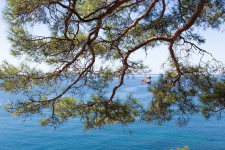 beautiful summer landscape. View of the forest, rocks and sea coast. Hiking in scenic areas, the road to the wild beach. The resort town of Gelendzhik. Russia, Black sea coastの写真素材