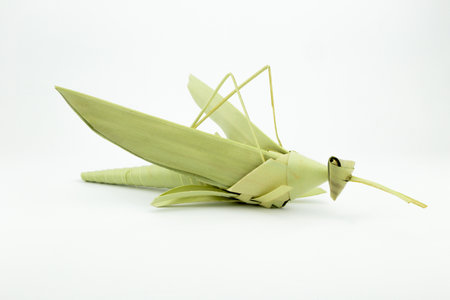 mantis model, indigenous toy, Thailand cultureの写真素材