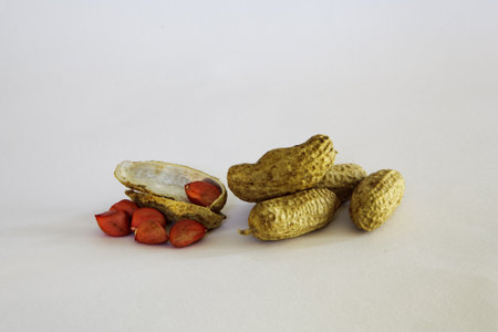 Groundnut / Peanut - shelled and whole