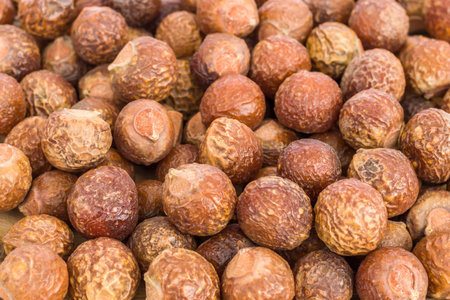 Pile of soapnuts - natural detergent