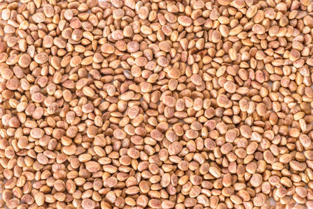 chironji is an Indian medicinal plant whose seeds are used in sweet desserts and cuisineの写真素材