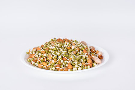 Assorted sprouts in a white plateの写真素材