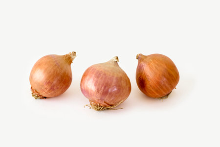 Three whole ripe onions on a white backgroundの写真素材