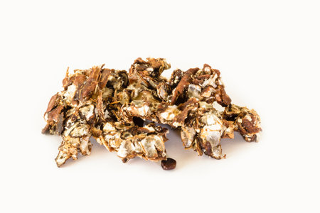 Tamarind pulp (for use in curries)の写真素材