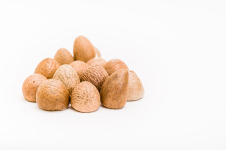 Areca nuts on a white background (Areca catechu)の写真素材