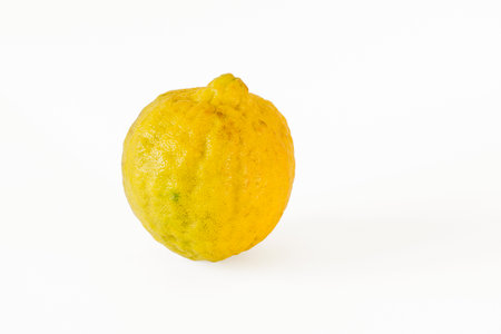 Single wild lemon (karinaranga or vadugapuli naranga) on a white backgroundの写真素材