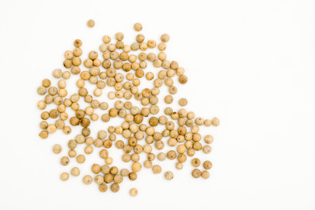 White Pepper (Piper nigrum) on a white backgroundの写真素材