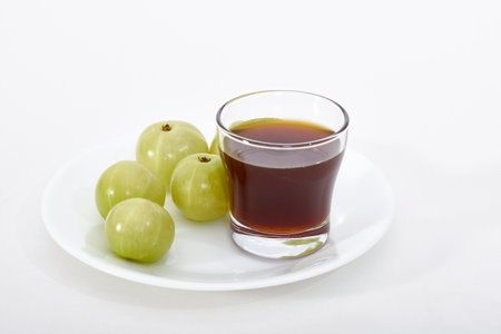 Fermented Gooseberry Tonic (Nellikka Arishtam)の写真素材