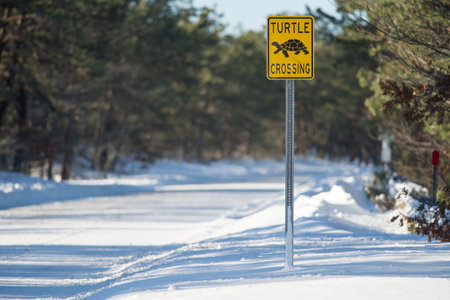 Unexpected sign on a cold winter day on Cape Codの写真素材