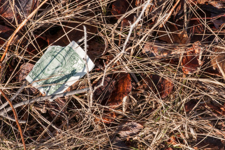 Torn dollar bill not worth the pain of recovering it from bramblesの写真素材