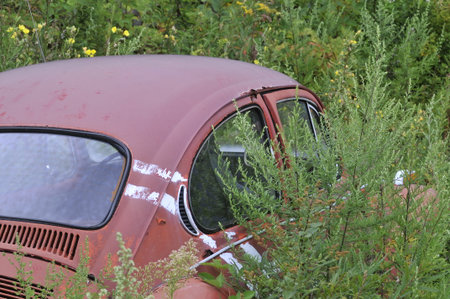 Abandoned car being overgrown by weedsの写真素材