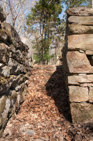 Old building foundation at George B. Parker Woodlandの写真素材