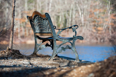 Unoccupied bench overlooking pond in late winterの写真素材