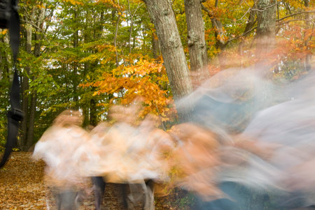 Ghostly pack of runners in cross country race through woodsの写真素材