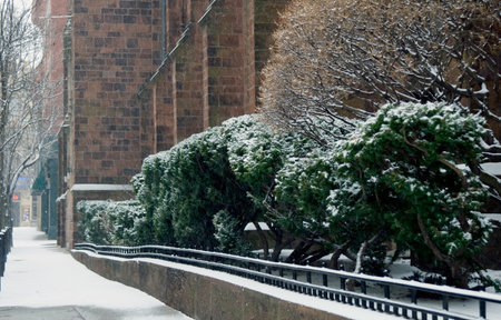 Falling snow begins to add up on a Providence, Rhode Island streetの写真素材