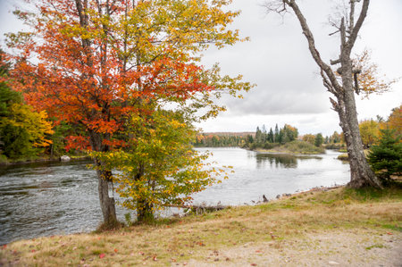 Androscoggin River widens as it nears Poontook Reservoirの写真素材