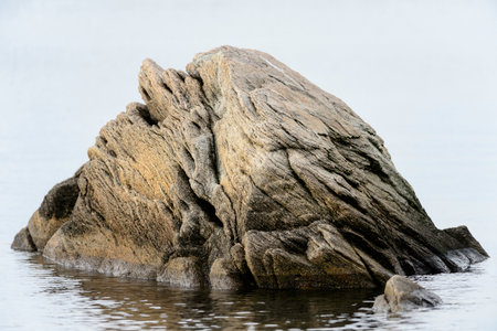 Striated rock lying just off New England beachの写真素材