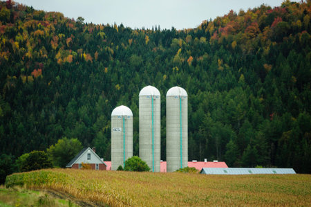 East Hereford, Quebec, Canada - September 30, 2009: Three silos stand out against green hillsideのeditorial素材