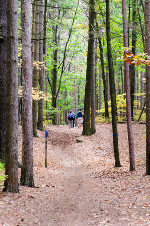 East Providence, Rhode Island, USA - October 13, 2008: Hikers strolling through woods near Turner Reservoirのeditorial素材