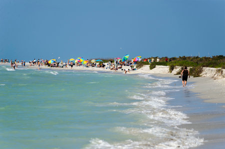 Sanibel Island, Florida, USA - February 25, 2011: Beachgoers enjoying a sunny winter day on Sanibel Islandのeditorial素材