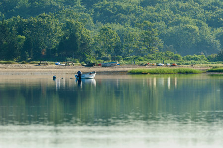 Fairhaven, Massachusetts, USA - July 22, 2012: Quiet summer morning on Little Bay shorelineのeditorial素材