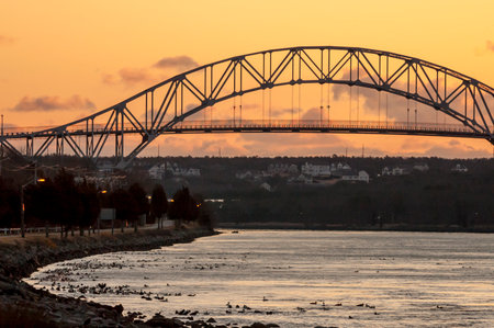 Winter sunrise with Common Eider near Bourne Bridge on Cape Cod Canalの写真素材