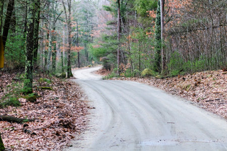 Dirt road winds through forest near Barden Reservoir