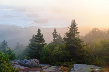 Sunrise on misty morning at Cadillac Mountainの写真素材