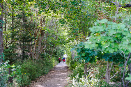 Bar Harbor, Maine, USA - September 12, 2010: Strollers walking down the mile-long Shore Path along Bar Harbor waterfrontのeditorial素材