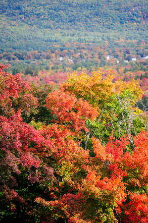 Bright autumn foliage on New Hampshire hillsideの写真素材