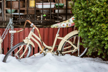 Old bike with flowery seat waiting out the winterの写真素材