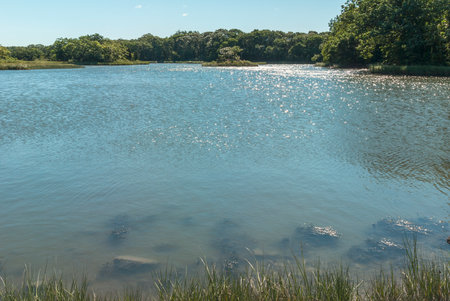 Sun reflecting off water in marshy inlet off Slocums River
