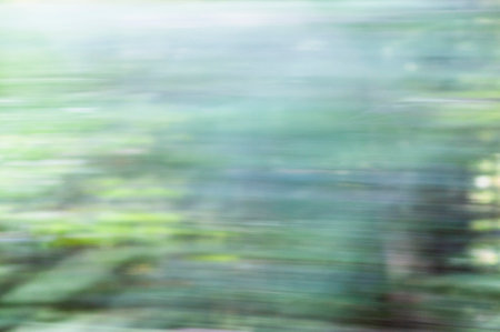 Motion blur from vehicle rushing past roadside trees