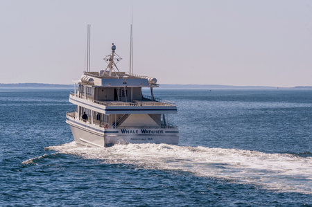 Fairhaven, Massachusetts, USA - April 7, 2019: Whale Watcher cruise vessel heading back to Hyannis to start its seasonのeditorial素材